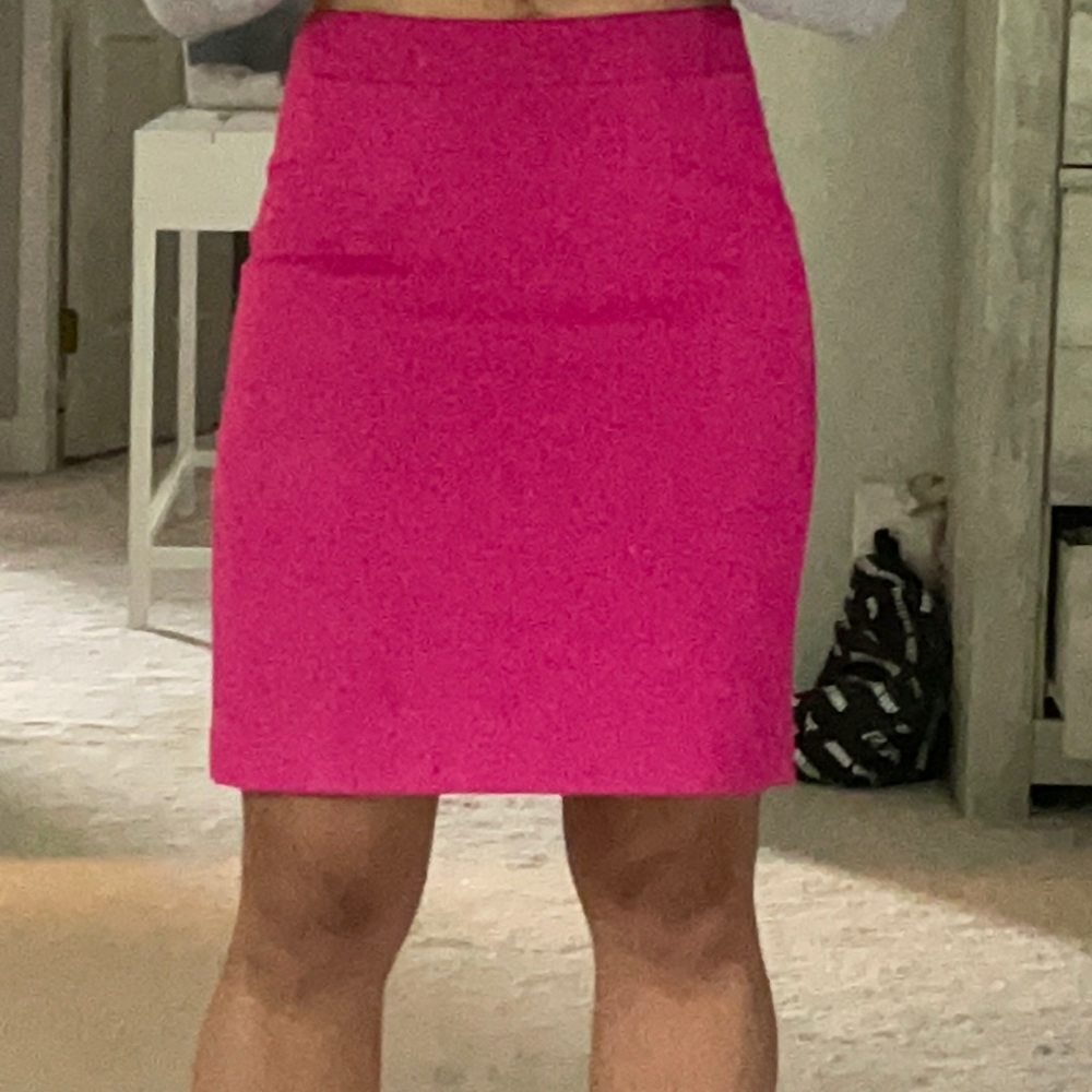 Jcrew pencil skirt-2P